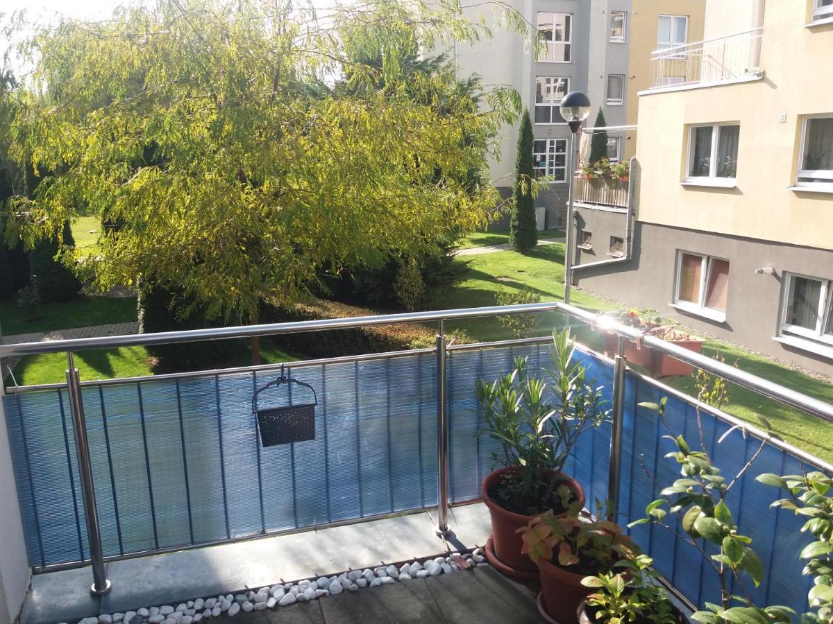 בראשוב Avantgarden1 .Apartament Lux מראה חיצוני תמונה