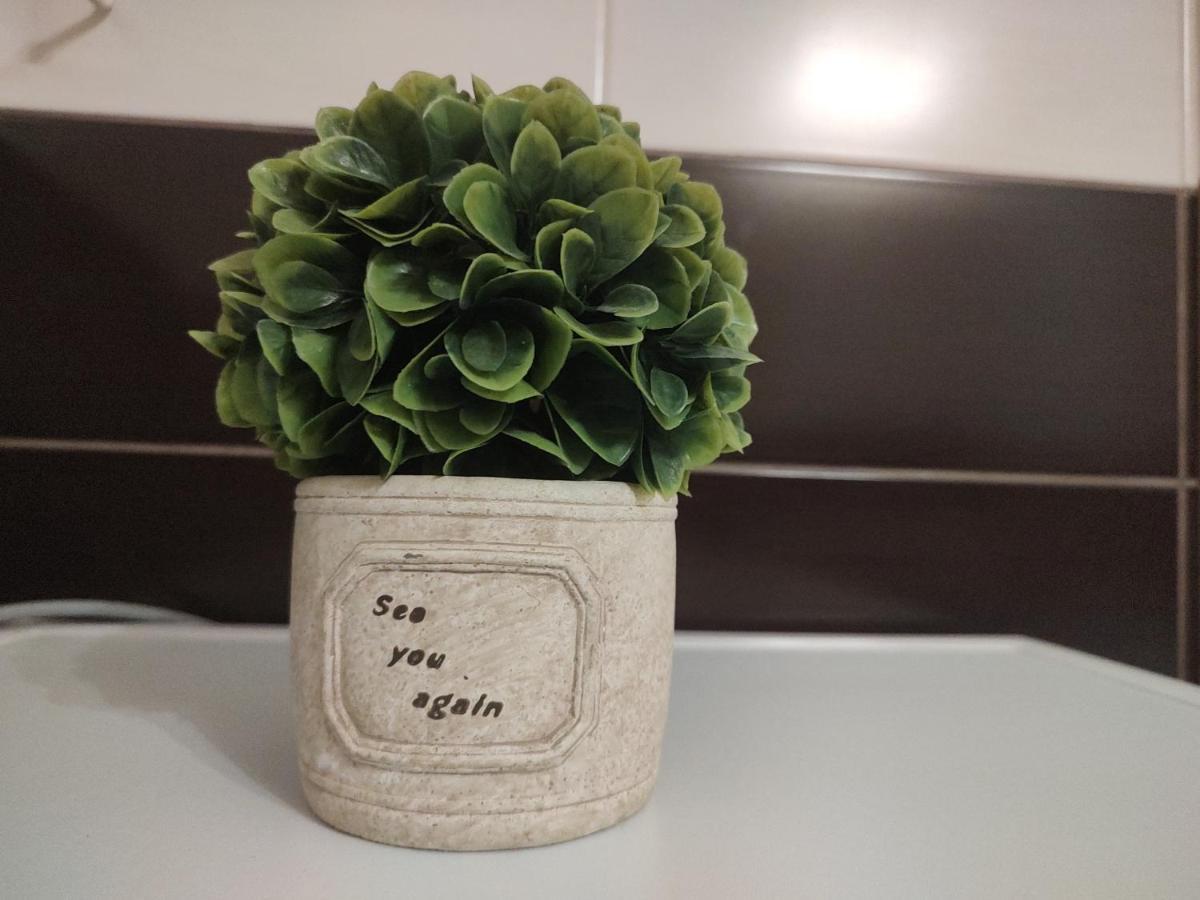 בראשוב Avantgarden1 .Apartament Lux מראה חיצוני תמונה